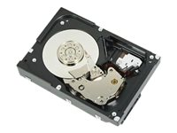 Dell - Hårddisk - 8 TB - inbyggd - 3.5" - SATA 6Gb/s - 7200 rpm 400-ATKW