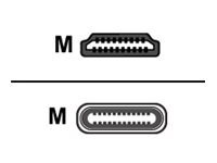 Crestron FT2A-CBL-PT Series - Adapterkabel - 24 pin USB-C hane till HDMI hane - 2.4 m - stöd för 4K - för P/N: FT2-202-ELEC-PTL-B, FT2-500-ELEC-PTL-B FT2A-CBL-PT-4K-USBC-HD