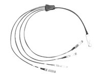 Cisco Direct-Attach Breakout Cable - Nätverkskabel - SFP+ till QSFP+ - 10 m - SFF-8431/SFF-8436/SFF-8461 - aktiv - för Nexus 2348, 31XX, 93XX, 93XXX, X97160, X9736; ONE Nexus 32XX, 92XX, 93XXX; UCS C4200 QSFP-4X10G-AC10M=