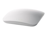 NETGEAR Wireless-N Access Point WNAP320 - Trådlös åtkomstpunkt - Wi-Fi - 2.4 GHz WNAP320-100PES