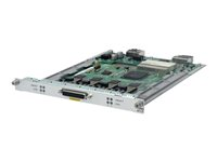 HPE - Expansionsmodul - HMIM - fractional E-1/E-1 - för HPE MSR3012, MSR3024, MSR3044, MSR3064, MSR4060, MSR4080 JG453A