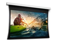 Da-Lite Tensioned DescenderPro - Projektionsskärmyta med motor och vals - takmonterbar - 125" (318 cm) - 16:9 - HD Progressive 1.1 10106643