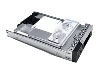 Dell - SSD - Read Intensive - 960 GB - inbyggd - 2.5" (i 3,5-tums hållare) - SAS 12Gb/s - för PowerEdge C6420 (3.5") 345-BCDH