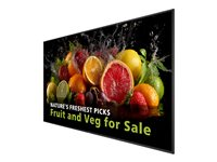 Philips 98BDL5050D - 98" Diagonal klass (97.5" visbar) - 5000 Series LED-bakgrundsbelyst LCD-skärm - digital skyltning - Android - 4K UHD (2160p) 3840 x 2160 98BDL5050D/00