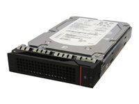 Lenovo Enterprise Direct Connect - Hårddisk - 1 TB - inbyggd - 3.5" - SATA 6Gb/s - 7200 rpm - för ThinkServer TD340 (3.5"); TS140 (3.5"); TS440 (3.5") 0C19502