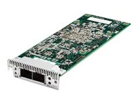 Emulex Dual Port 10GbE SFP+ Embedded Adapter for IBM System x - Nätverksadapter - Advanced Mezzanine Card (AMC) - 10 GigE - 2 portar - för System x iDataPlex dx360 M4; System x3550 M4; x3650 M4 90Y6456