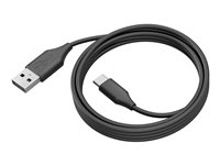 Jabra - USB-kabel - 24 pin USB-C (hane) till USB typ A (hane) - USB 3.0 - 2 m - för PanaCast 50, 50 Room System 14202-10