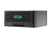 HPE ProLiant MicroServer Gen10 Plus v2 Performance 2 - ultramikrotorn Xeon E-2314 2.8 GHz - 16 GB - HDD 1 TB P54654-421