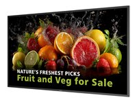 Philips 50BDL5050D - 50" Diagonal klass (49.5" visbar) - 5000 Series LED-bakgrundsbelyst LCD-skärm - digital skyltning - Android - 4K UHD (2160p) 3840 x 2160 50BDL5050D/00