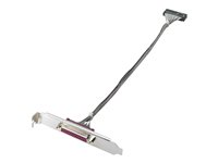 HP Parallel Port Adapter - Parallell adapter - IEEE 1284 - för HP 280 G2; Desktop Pro 300 G6; EliteDesk 70X G1, 800 G1; ProDesk 40X G1, 490 G2, 600 G1 KD061AA