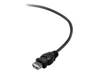 Belkin - USB-förlängningskabel - USB (hane) till USB (hona) - USB 2.0 - 1.8 m - träkol F3U153CP1.8M