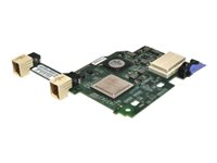 QLogic Ethernet and 8 Gb Fibre Channel Expansion Card (CFFh) - Nätverksadapter - PCIe - GigE, 8 Gb fiberkanal - 4 portar - för BladeCenter HS12; HS21 XM; HS22; HS23; HX5; JS12; JS22; LS21; LS22; LS41; LS42; PS70X 00Y3270