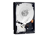 Dell - Hårddisk - krypterat - 8 TB - hot-swap - 3.5" - SAS 12Gb/s - nearline - 7200 rpm - Self-Encrypting Drive (SED) - för PowerVault MD1200 (3.5"), MD3200i (3.5"), MD3400 (3.5"), MD3800F (3.5"), MD3800i (3.5") 400-AMRX