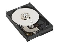 Dell 512e - Hårddisk - 750 GB - inbyggd - 2.5" - SATA 3Gb/s - 7200 rpm - för Latitude E6430S; OptiPlex 9010, 9010 All In One; Vostro 3350, 3460, 3560; XPS 15 (L521X) 400-24144