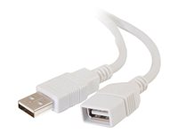 C2G USB Extension Cable - USB-förlängningskabel - USB (hona) till USB (hane) - 1 m 81570