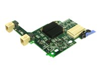 Emulex 10 GbE Virtual Fabric Adapter II for IBM BladeCenter - Nätverksadapter - PCIe 2.0 x8 - 10 GigE - 2 portar - för BladeCenter HS22 7870; HS22V 7871; HS23E 8038; HX5 7873 00Y3264