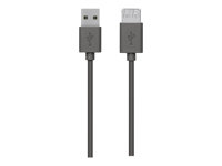 Belkin - USB-förlängningskabel - USB (hane) till USB (hona) - USB 2.0 - 4.8 m - träkol F3U153CP4.8M