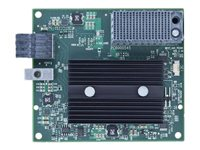 Lenovo Flex System EN4132 - Nätverksadapter - PCIe 3.0 x8 - 10Gb Ethernet x 2 - för Flex System x220 Compute Node; x240 Compute Node; x240 M5 90Y3466