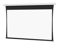 Da-Lite Tensioned DescenderPro - Projektionsskärmyta med motor och vals - försänkt montering, takmontering - 162" (411 cm) - 16:10 - HD Progressive 1.1 Contrast 10106735