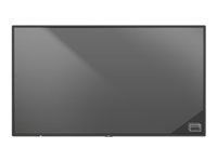 NEC MultiSync P435 PG-2 - 43" Diagonal klass P Series LED-bakgrundsbelyst LCD-skärm - digital skyltning - 4K UHD (2160p) 3840 x 2160 - kantbelysning - svart, pantone 426M 60005857