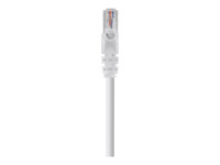 Belkin High Speed Internet Modem Cable - Telefonkabel - RJ-11 (hane) till RJ-11 (hane) - 1.8 m - dubbelt skärmad - hakfri - vit F3L900CP1.8MWHS