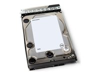 Dell - Kundsats - hårddisk - 12 TB - 512e - 3.5" - SATA 6Gb/s - 7200 rpm 400-BRDL