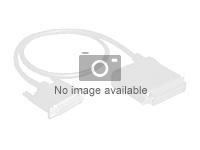 Broadcom - Intern SAS-kabel - Slim SAS (SFF-8654) (hane) till Mini SAS HD (SFF-8643) - 1 m 05-60003-00