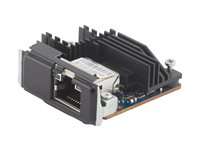 HP Flex IO - Nätverksadapter - 10Gb Ethernet x 1 56Q71AA